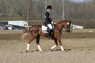 mahrdorfdragoon_173_7390.jpg