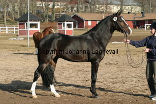 valdo_169_6960.jpg
