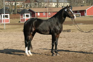 valdo_169_6966.jpg