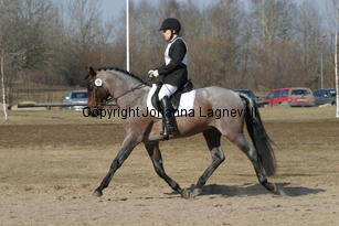 verdi_173_7394.jpg