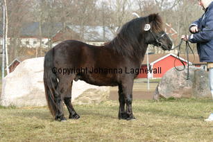 almnasnitrat_177_7726.jpg