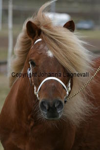 charleyvdprovincialeweg_178_7848.jpg