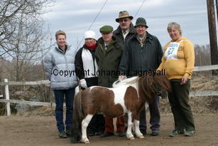 domare_179_7936.jpg