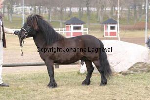 hagalyckanslloyd_178_7824.jpg