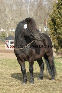 junibackensbacardi_177_7764.jpg