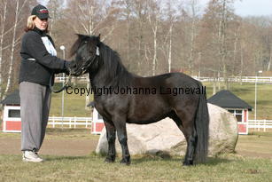 junibackensbacardi_177_7766.jpg