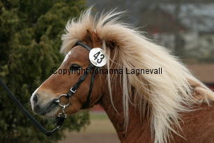 krillen_177_7733.jpg