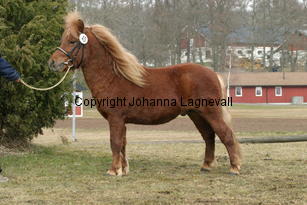 ludde_177_7773.jpg