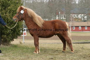 ludde_177_7775.jpg