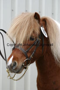 robijnvstpolderzicht_178_7899.jpg
