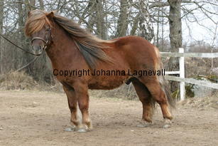 smevallenshannibal_179_7942.jpg