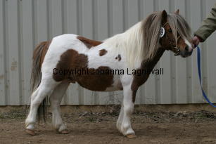 wardofberry_179_7906.jpg