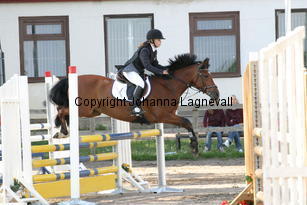 joy_baileys_0845.jpg