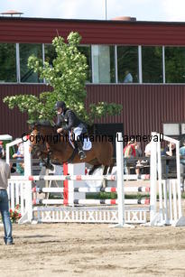 joy_baileys_0846.jpg