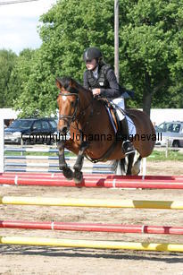 joy_baileys_0847.jpg