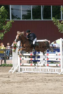 victor_focusii_0817.jpg