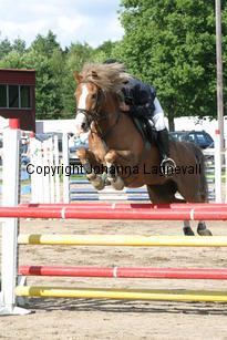 victor_focusii_0818.jpg