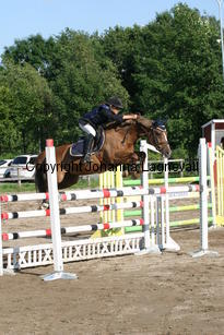 wilma_queen_0859.jpg