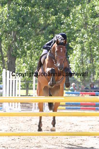 angelica_spax_0772.jpg
