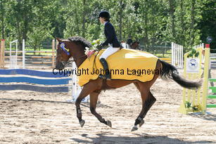 angelica_spax_0788.jpg