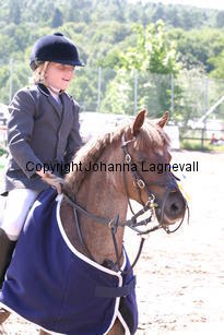 linn_lovealot_0586.jpg
