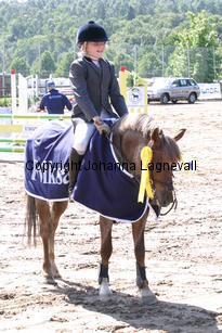 linn_lovealot_0591.jpg