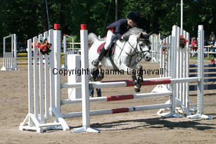 sara_ronjarobbersdaughter_0570.jpg