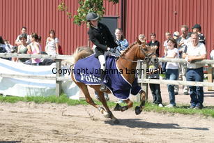 sofia_fransjager_0647.jpg