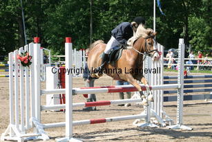 victor_focusii_0602.jpg