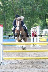 victor_focusii_0603.jpg