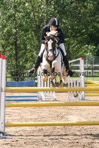 madelen_madepiebald_0656.jpg