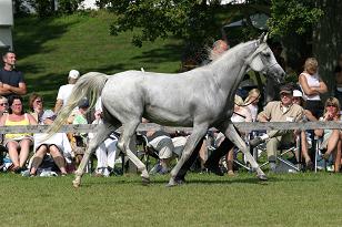 ghiamontagne_129_2953w.jpg
