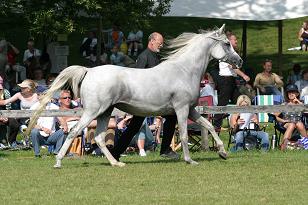 ghiamontagne_129_2954w.jpg