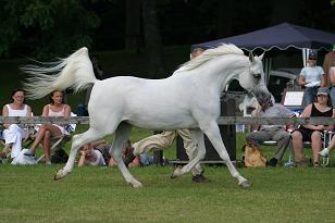 ewakuacja_129_2977w.jpg