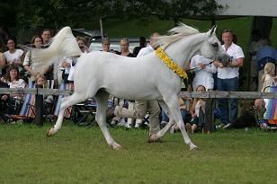 ewakuacja_133_3380w.jpg