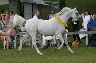 ewakuacja_133_3382w.jpg