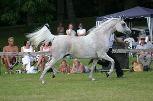 szansa_129_2970w.jpg