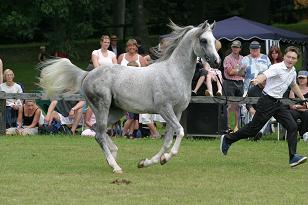 barett_131_3142w.jpg