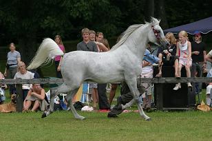omeltanam_131_3163w.jpg