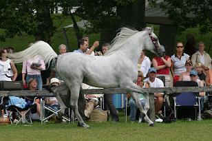 omeltanam_131_3165w.jpg