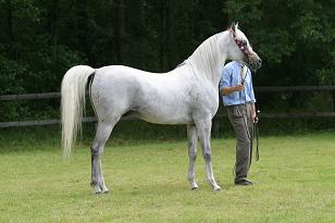 omeltanam_131_3172w.jpg