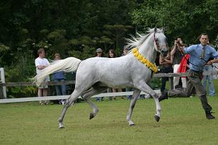 omeltanam_134_3416w.jpg