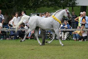 omeltanam_134_3418w.jpg