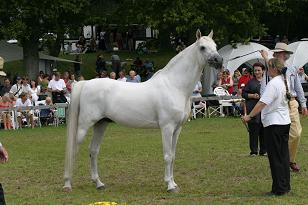 jalaam_132_3239w.jpg