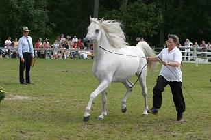 jalaam_132_3241w.jpg