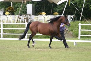 milagro_131_3184w.jpg