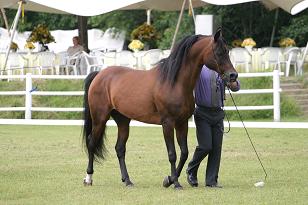 milagro_131_3192w.jpg