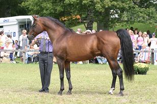 milagro_132_3248w.jpg