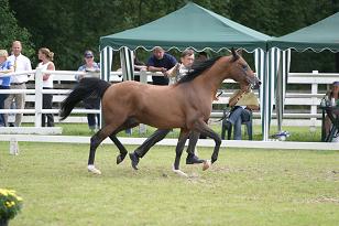 vostock_131_3197w.jpg