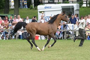 vostock_131_3199w.jpg